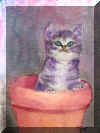 "Potted Kitten" Watercolor on Rough Artist's Paper (sold)