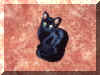 Kitten Nikita posing on the carpet