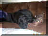 Sleeping Candy
