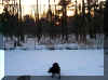 snowybackyard1.jpg (208309 bytes)