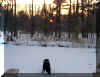 snowybackyard2.jpg (182419 bytes)