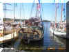 Tall Ships during Summer Celebration in Muskegon, MI