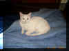 Whitey looks good in blue