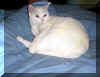 whitey5.jpg (133050 bytes)