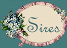 SIRES