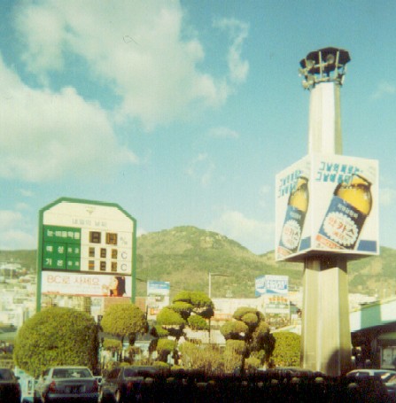 Topiary shrubs, Pusan, April 21, 2002.