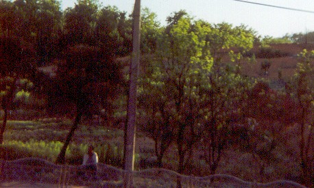 Late afternoon shadows and a girl waiting for a bus in front of a thoroughly farmed hillside.