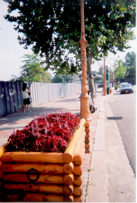 Streetside flower box in Hannam-dong.