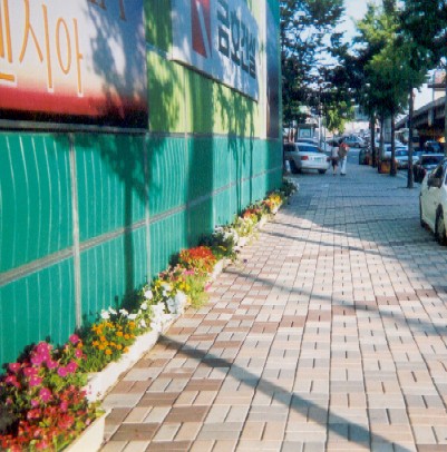 Window boxes decorate a construction site, Hannam-dong.
