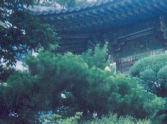 The shape of the pine branches and the rafters under the eaves echo each other.