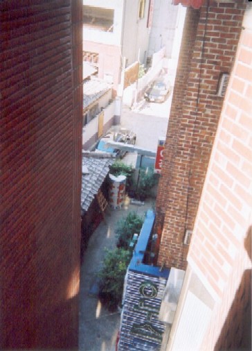 View from my hotel window in Moran.