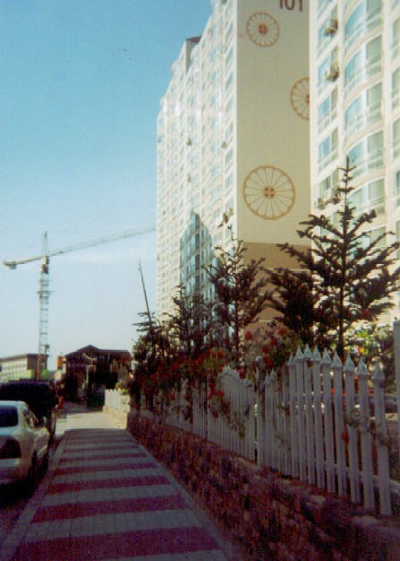 Chrysanthemum Apartments, and the ubiquitous construction cranes.
