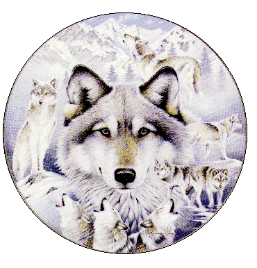 thepack