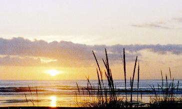 sunset2.jpg