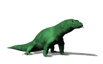 CLICK HERE: To learn about animal guides from I to O 