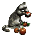 CLICK HERE: To learn about animal guides P to Z