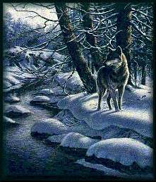 The Wolf of the Earth House
