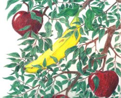 appletree