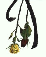 Dried Roses