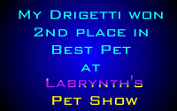 Pet Show Award