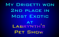 Pet Show Award