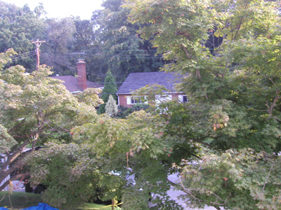vista da suite