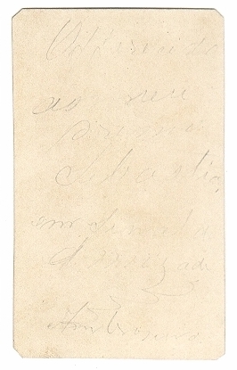 ambrosina_f47v.jpg (95174 bytes)
