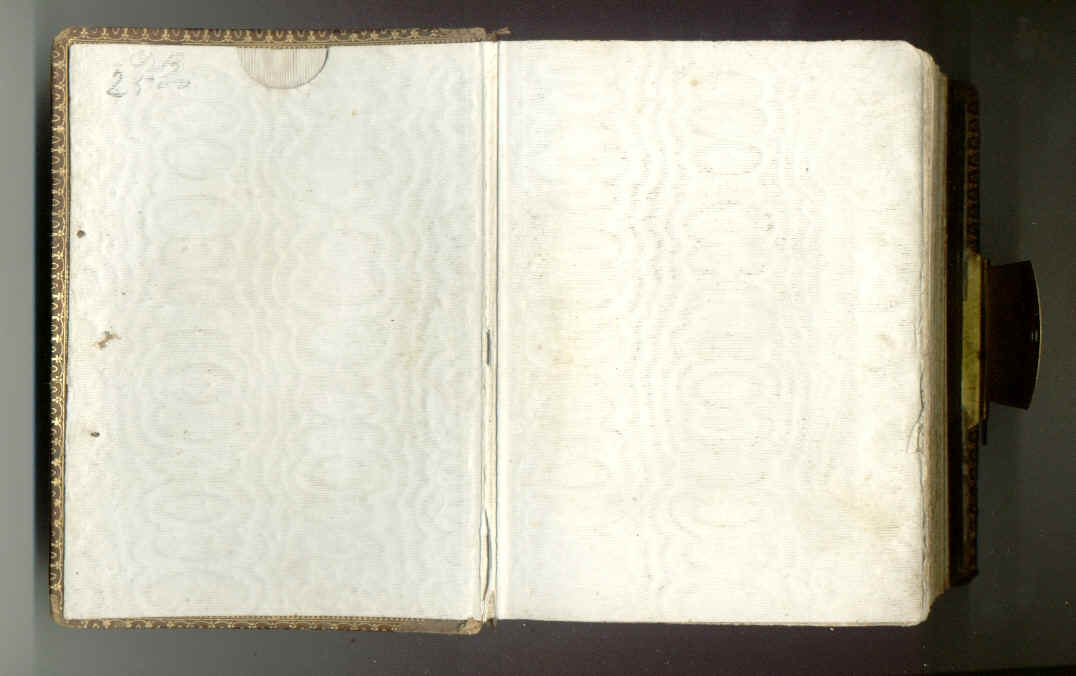 ambrosina_g1e2.jpg (542268 bytes)