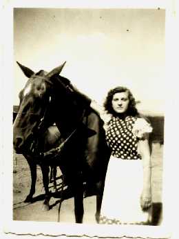 daria_cavalo.jpg (10140 bytes)