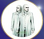 Collectible Twins Plate