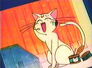 This is Artemis when Luna finds out he's "Central Control" Does he look embarrassed?&nbsp; Oh Yeah!