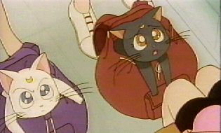 What a way to travel! Stuffed into backpacks