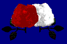 Back to Romance Shrine