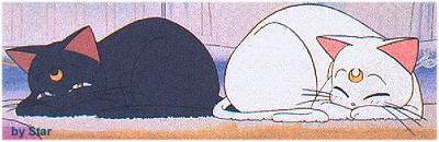 Totally new meaning to the term "cat nap" Totally kawaii