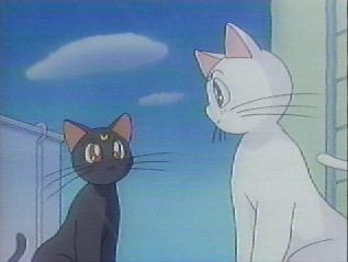 A really nice picture of Luna and Artemis