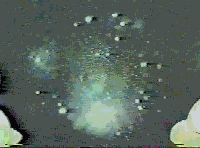 Chibi Moon summons Pegasus