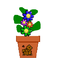 Spirit Flower