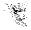 Lyria
