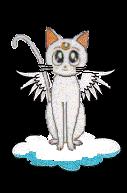  Click here to get info on all three moon kitties