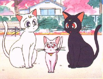 A sceen from the show with all of the kitties. Luna, Artemis, and their kitten Diana.