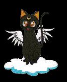  Click here to get info on all three moon kitties