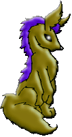 Male Kailik