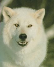 #19 -taken