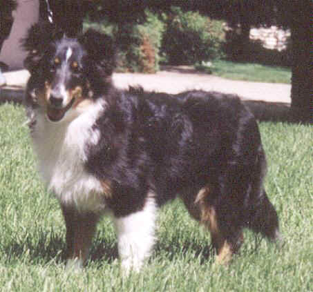 b2.jpg (40007 bytes)