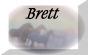brettbtn.jpg (1556 bytes)
