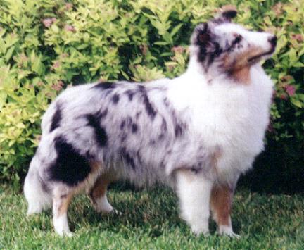 caitlyna.jpg (34791 bytes)