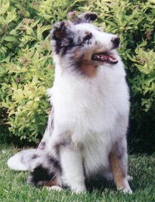 caitlynb.jpg (31957 bytes)