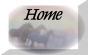 homebtn.jpg (1564 bytes)