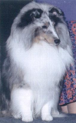 hunk1.jpg (15461 bytes)