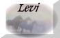 levibtn.jpg (1541 bytes)